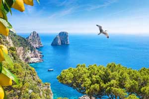 Ecotourism